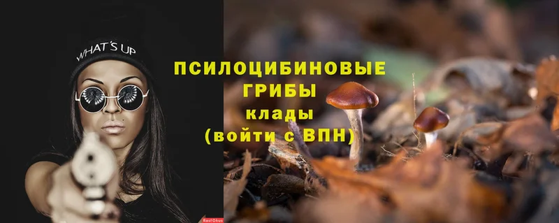 Галлюциногенные грибы Cubensis  купить закладку  Миньяр 