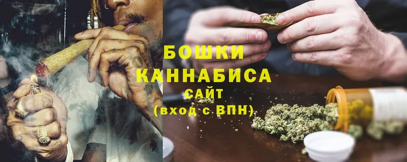 Канабис планчик  Миньяр 